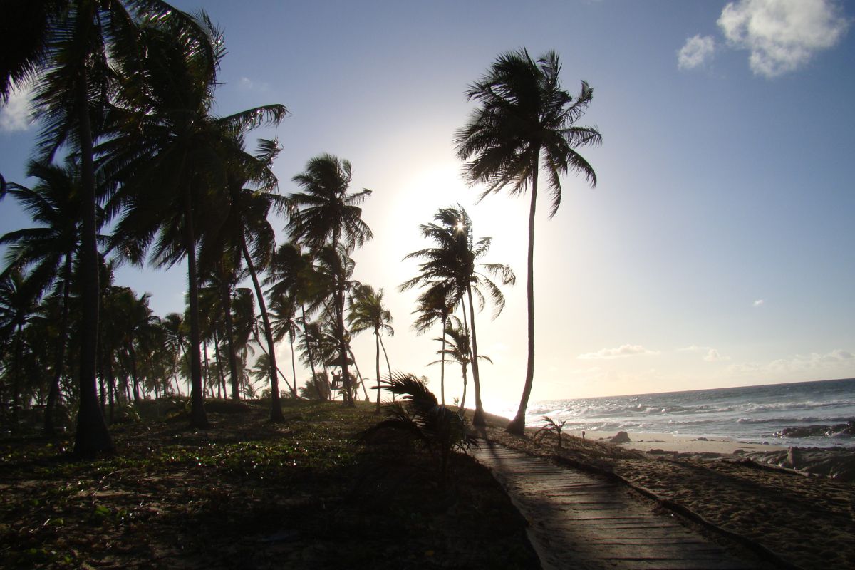 estrada do Coco Costa do Sauípe